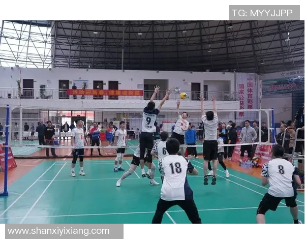 重庆排球队的默契配合与战术分析探讨排球竞技的未来发展方向 重庆排球队的默契配合与战术分析探讨排球竞技的未来发展方向