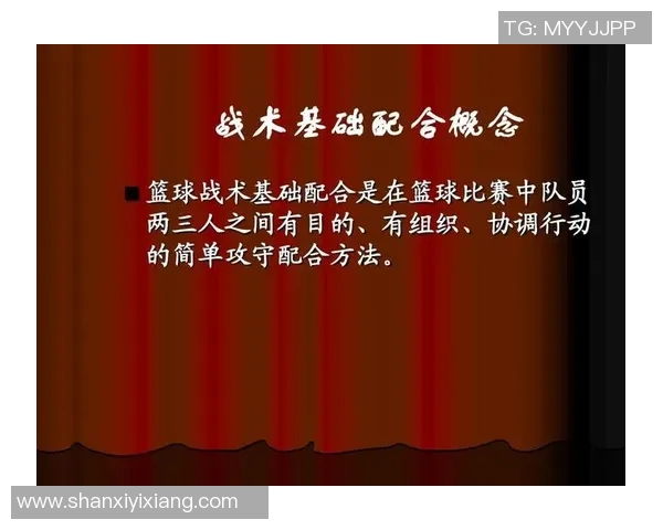杭州排球队快攻战术解析与实战应用探讨