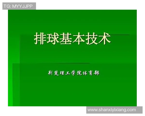 南京排球队技术分析与发展策略探讨聚焦排球运动的未来与挑战 南京排球队技术分析与发展策略探讨聚焦排球运动的未来与挑战