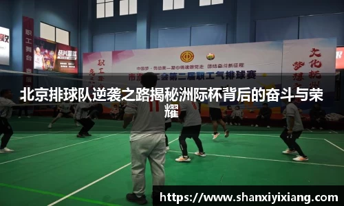 北京排球队逆袭之路揭秘洲际杯背后的奋斗与荣耀