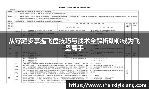 从零起步掌握飞盘技巧与战术全解析助你成为飞盘高手